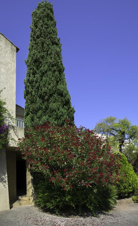 Motel Le Vieux Moulin LʼÎle-Rousse エクステリア 写真